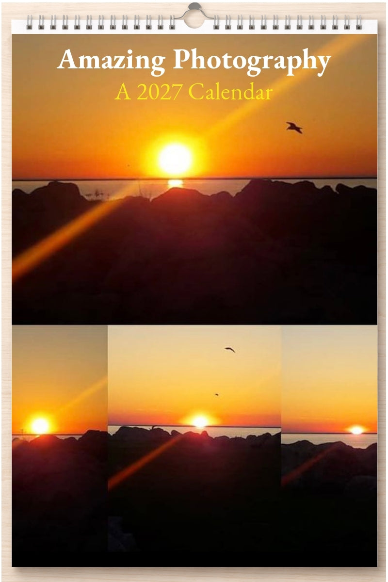 Amazing Photography: A 2027 Calendar