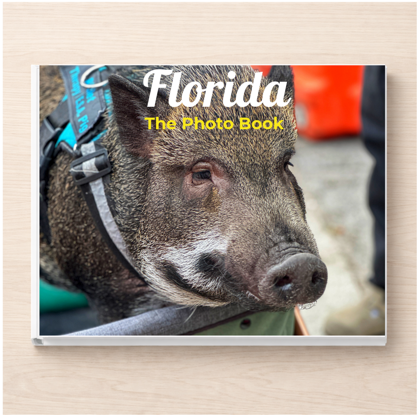 Florida: The Photo Book