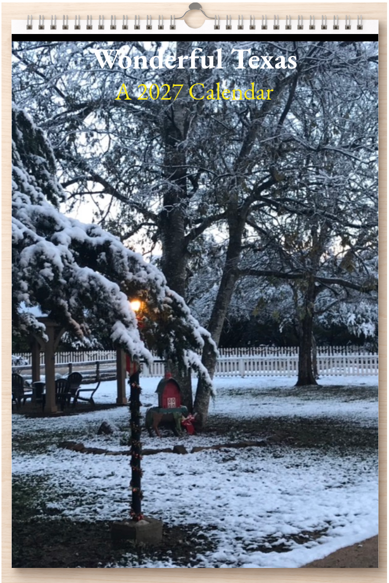 Wonderful Texas: A 2027 Calendar
