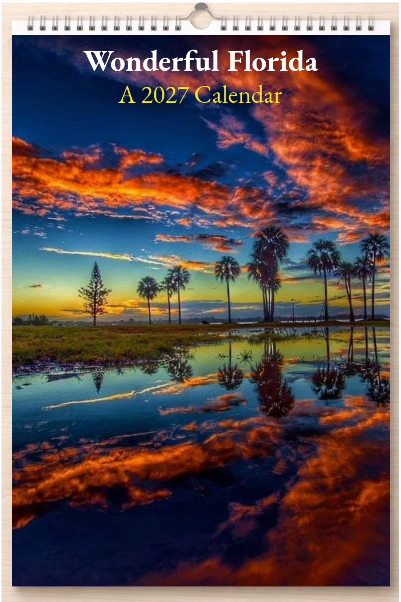 Wonderful Florida: A 2027 Calendar