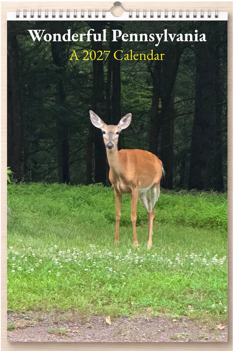 Wonderful Pennsylvania: A 2027 Calendar
