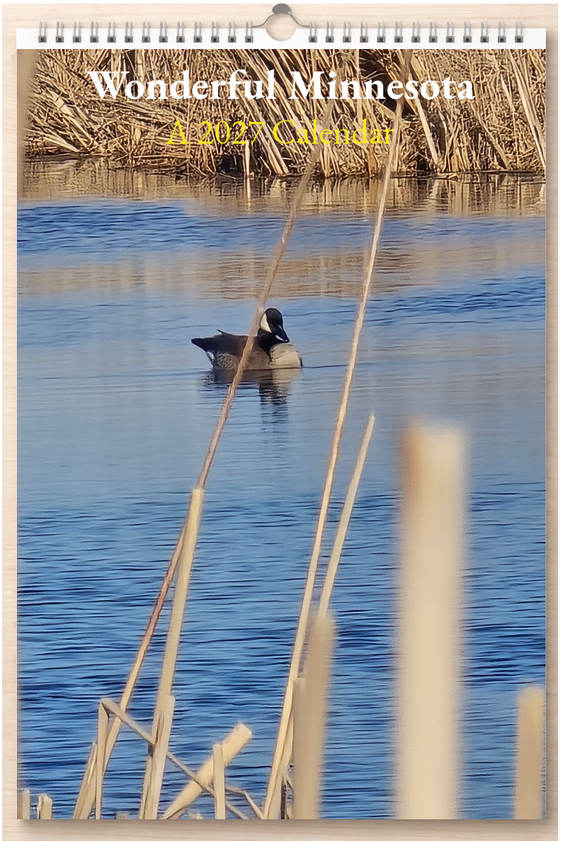 Wonderful Minnesota: A 2027 Calendar