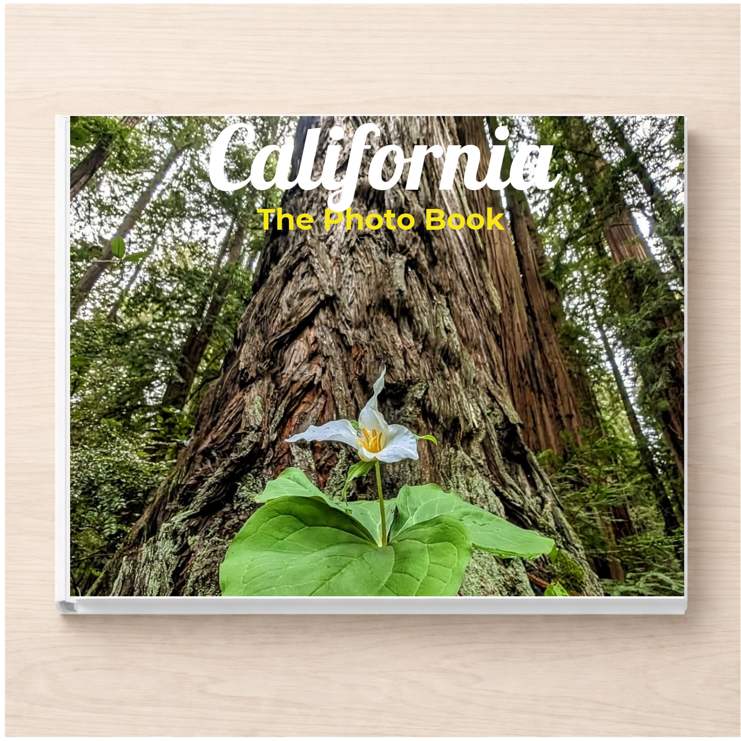 California: The Photo Book