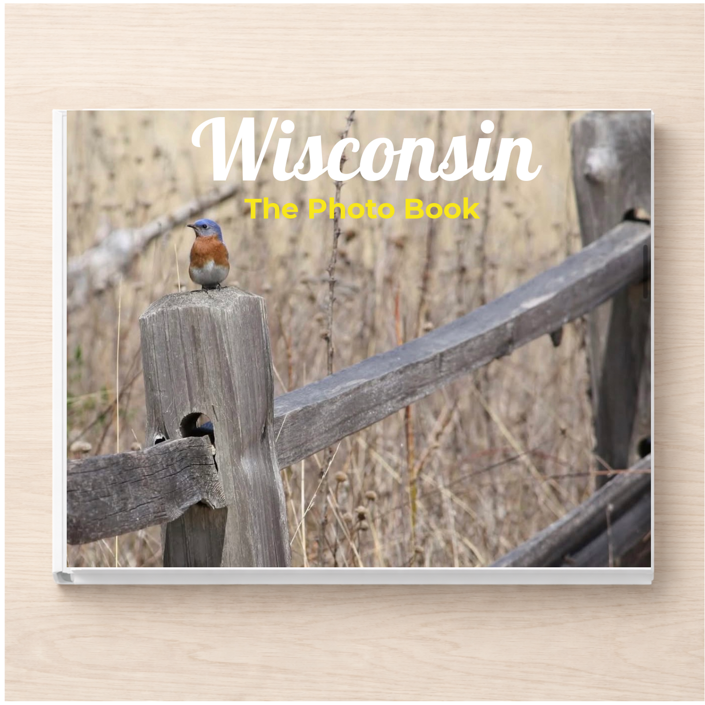 Wisconsin: The Photo Book