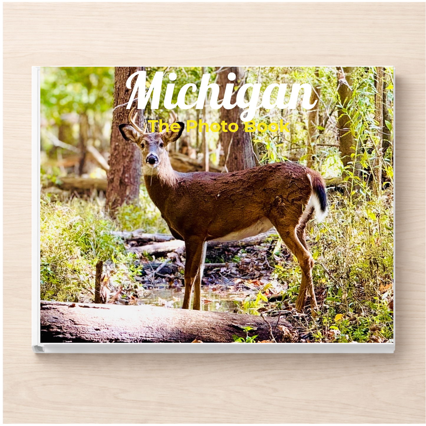 Michigan: The Photo Book