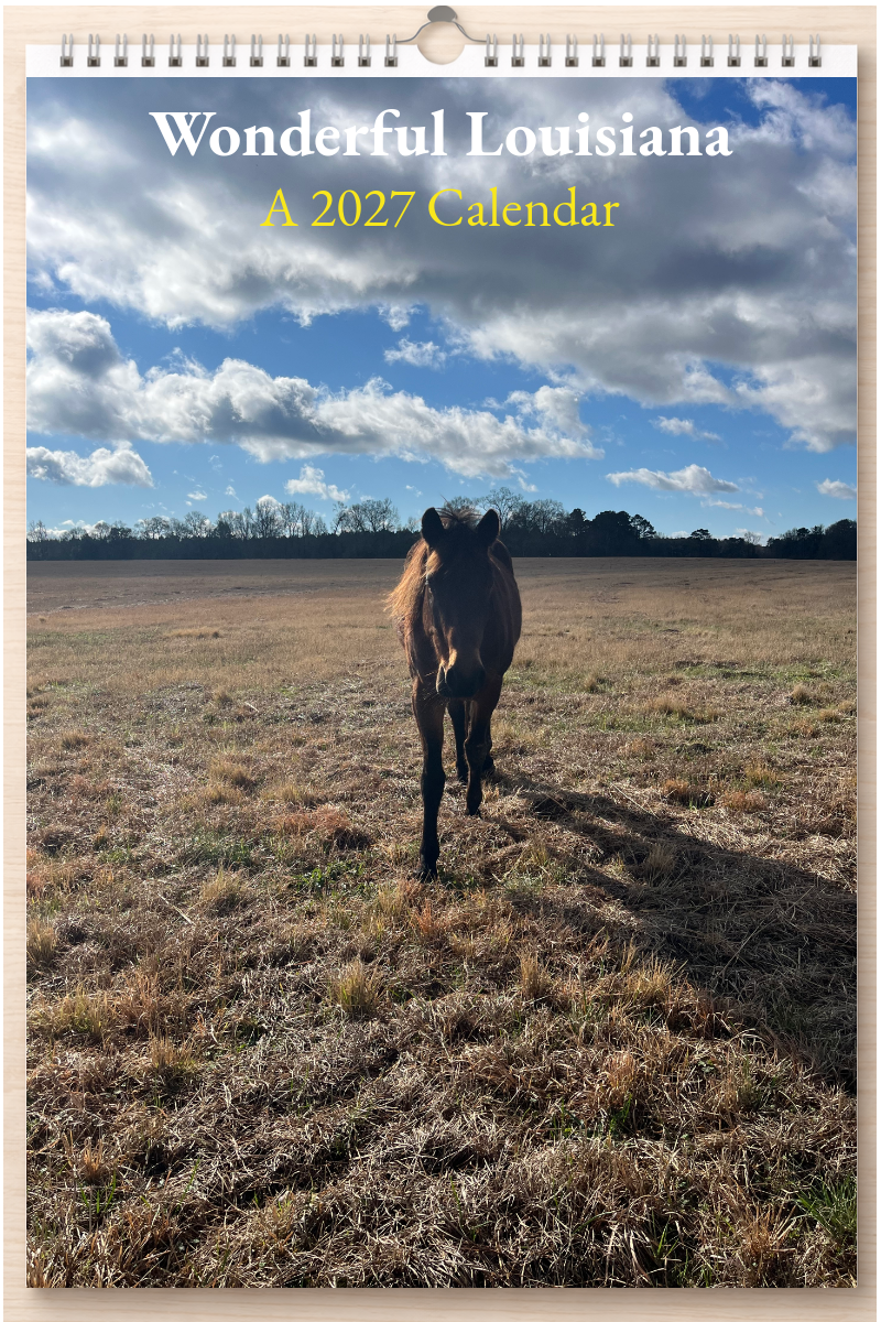 Wonderful Louisiana: A 2027 Calendar