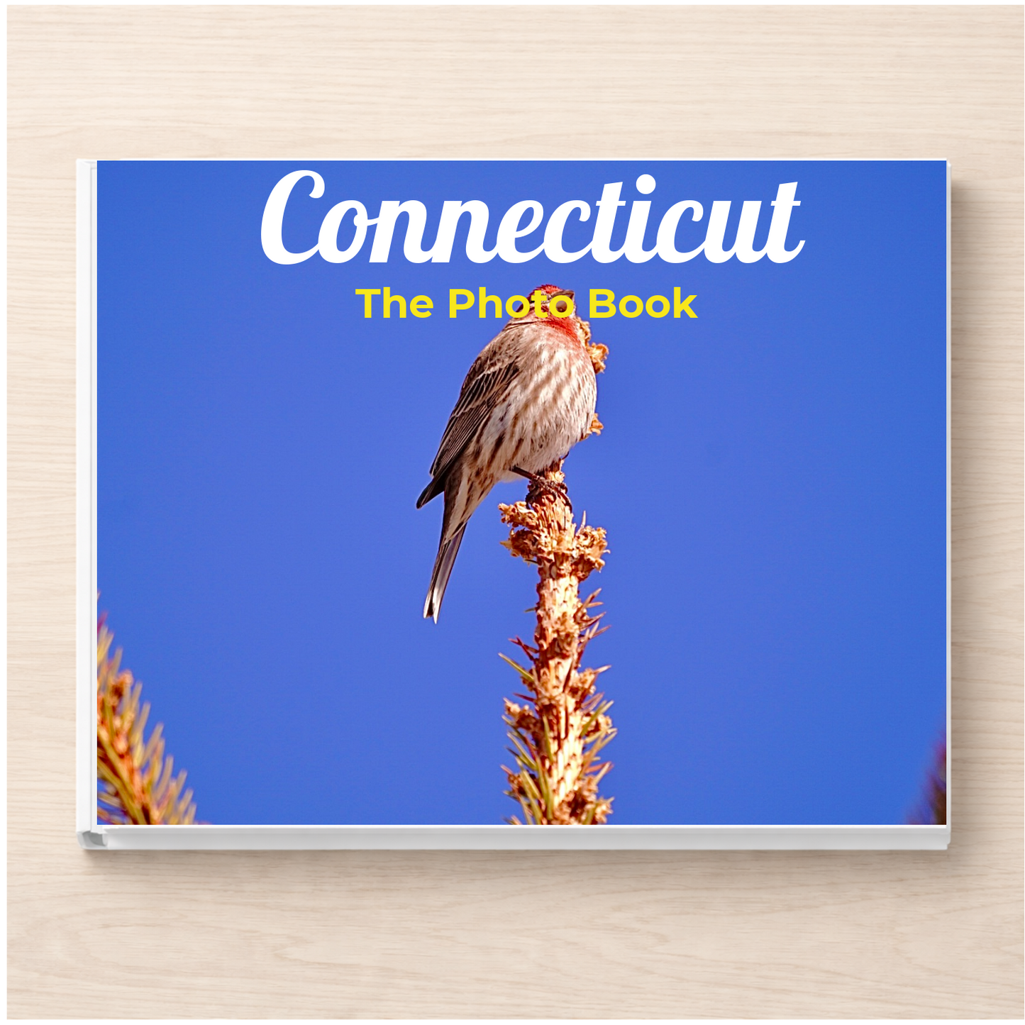 Connecticut: The Photo Book