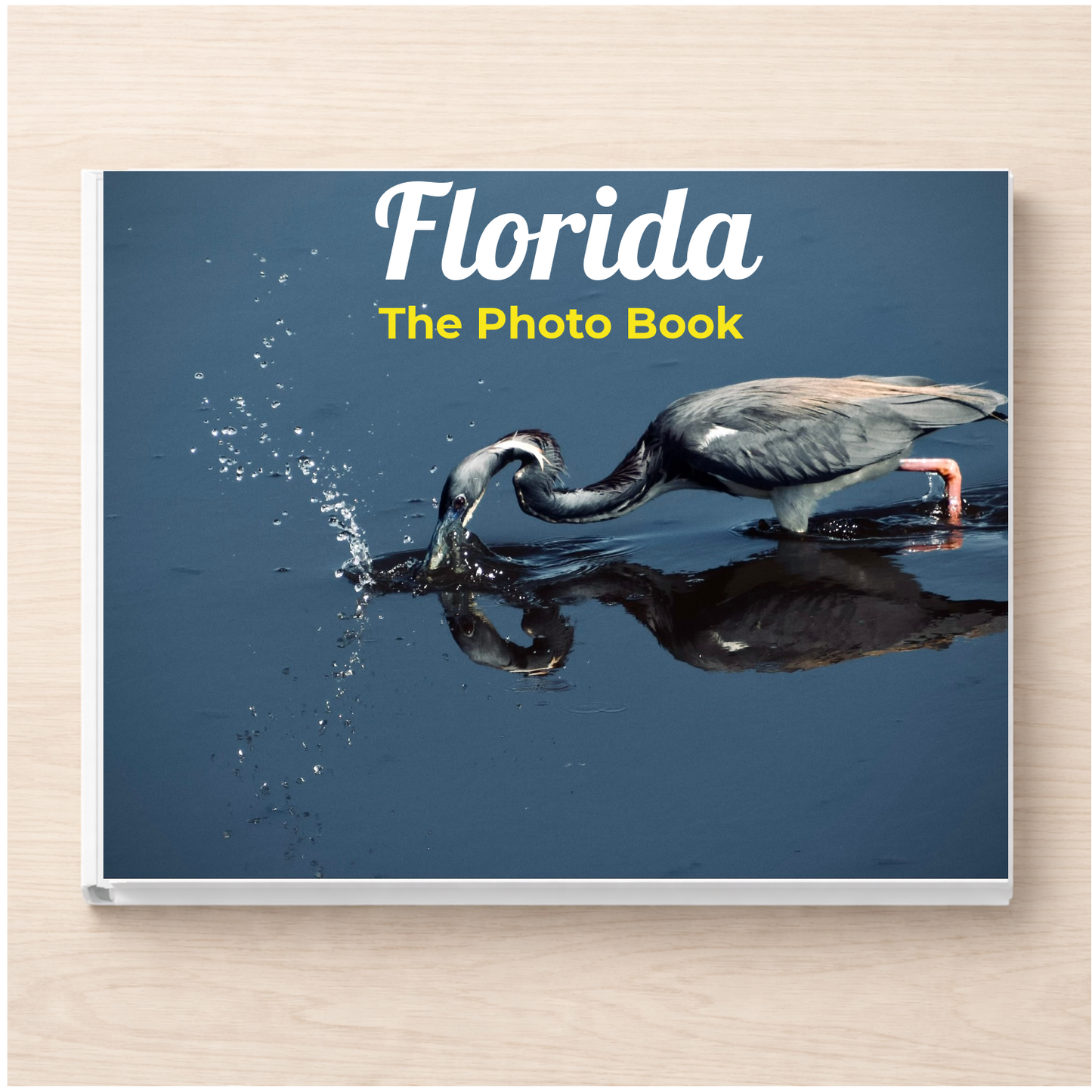 Florida: The Photo Book