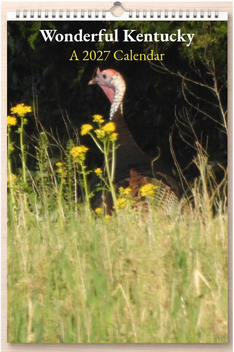 Wonderful Kentucky: A 2027 Calendar