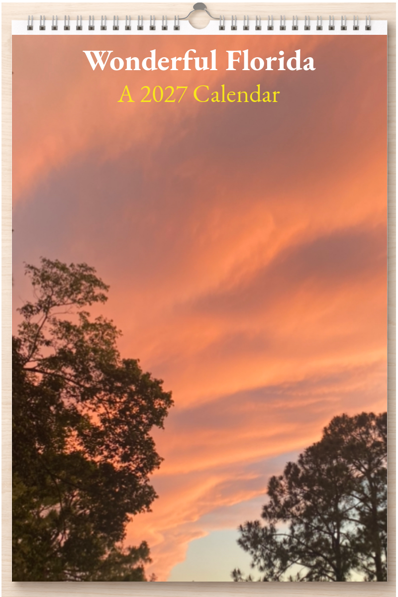 Wonderful Florida: A 2027 Calendar