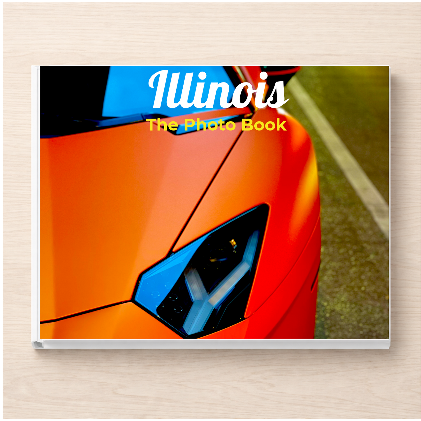 Illinois: The Photo Book