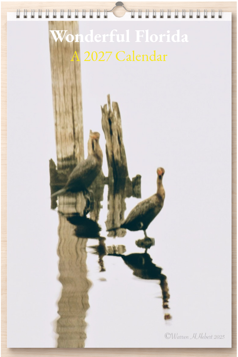 Wonderful Florida: A 2027 Calendar