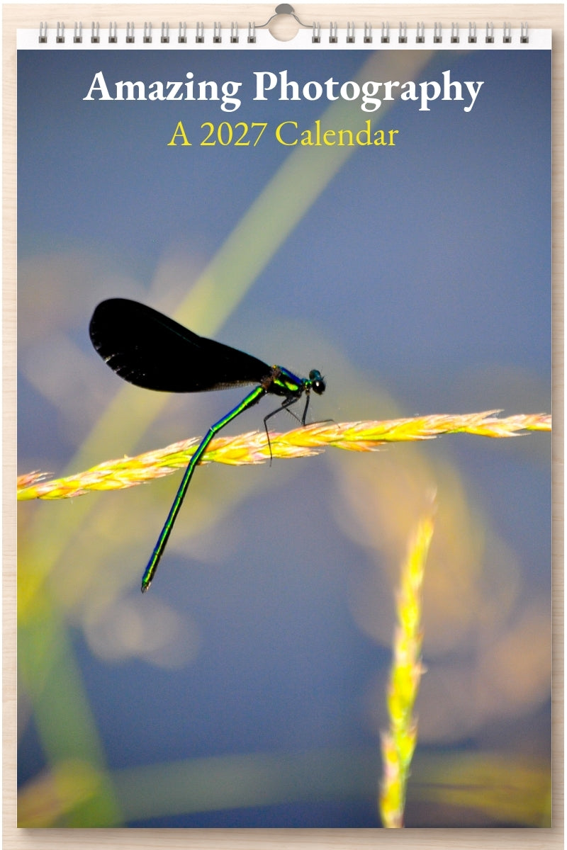 Amazing Photography: A 2027 Calendar