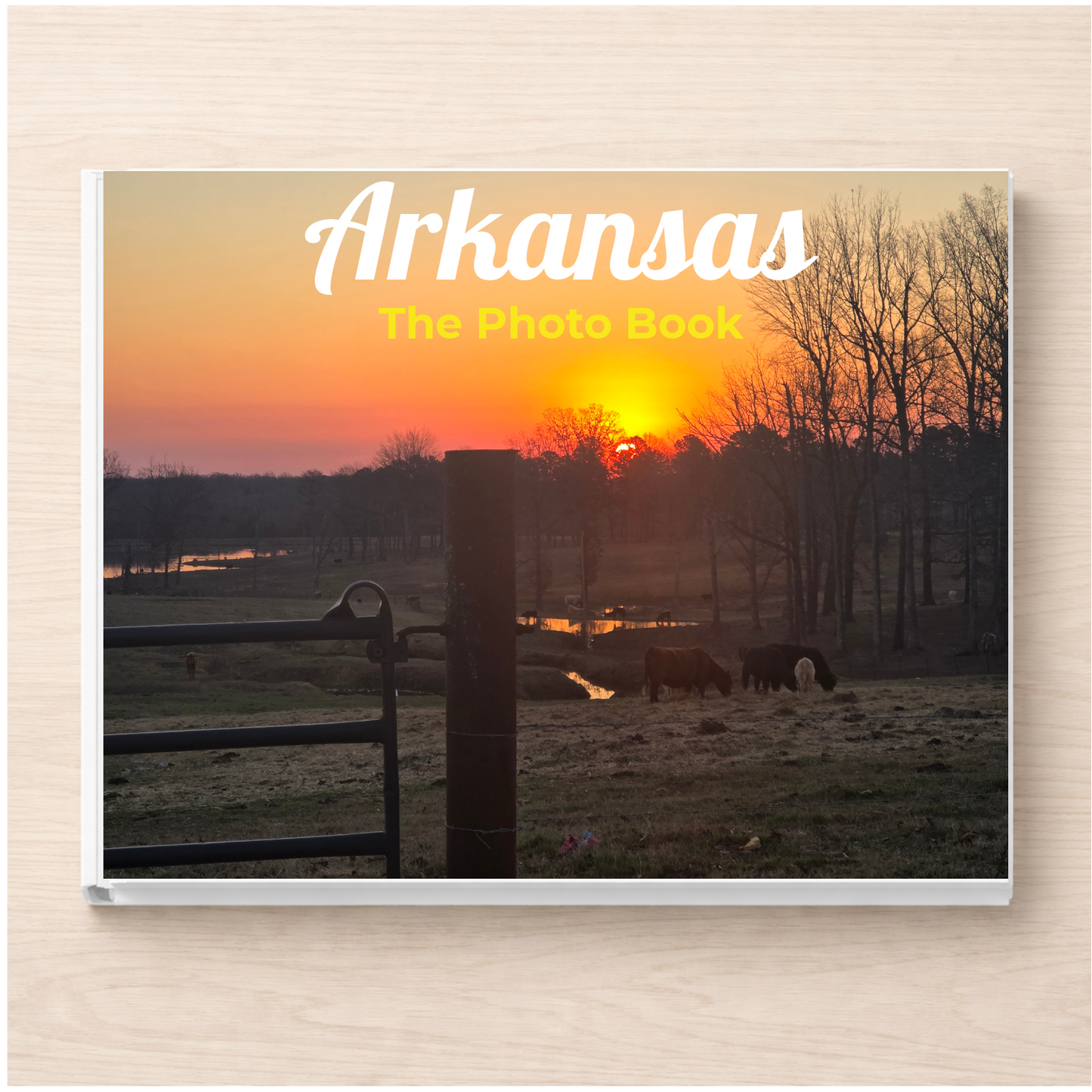 Arkansas: The Photo Book