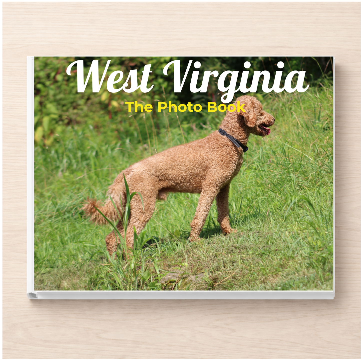 West Virginia: The Photo Book