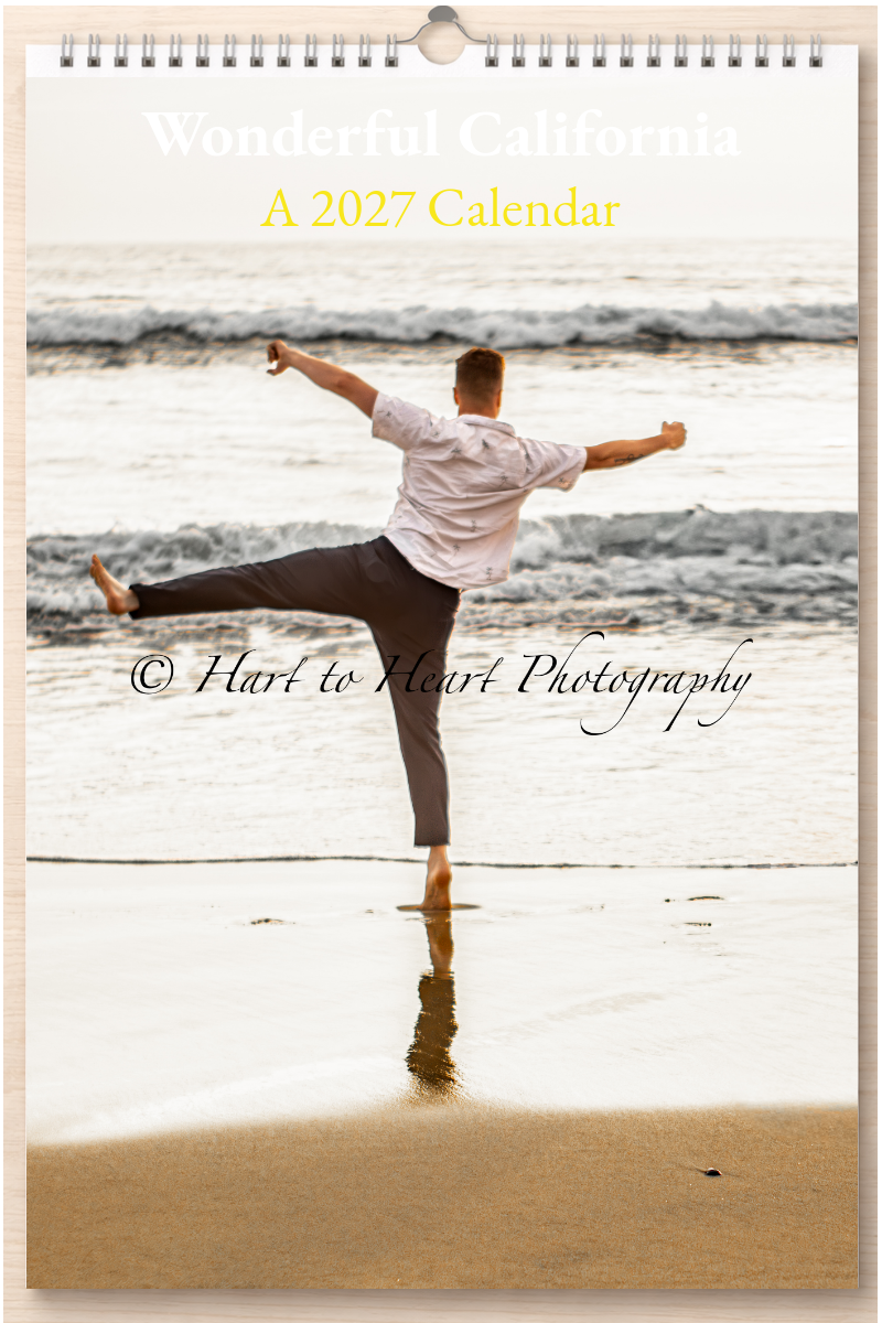 Wonderful California: A 2027 Calendar