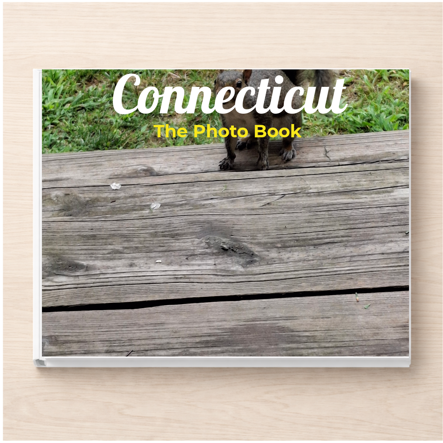 Connecticut: The Photo Book