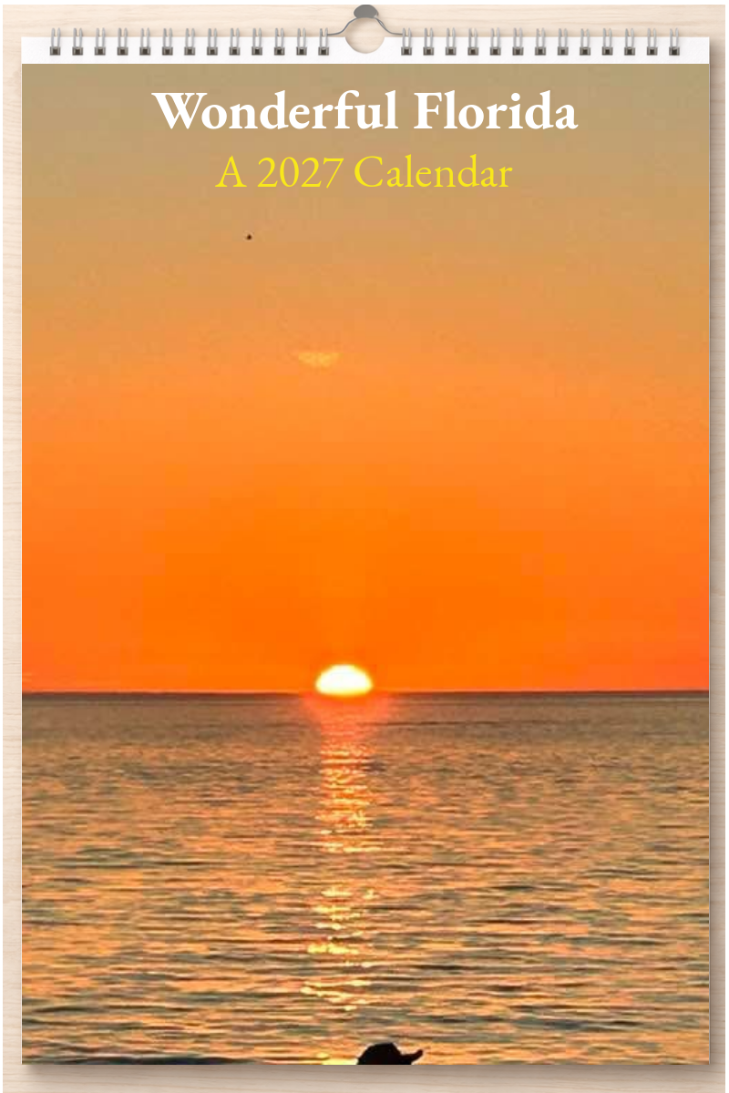 Wonderful Florida: A 2027 Calendar