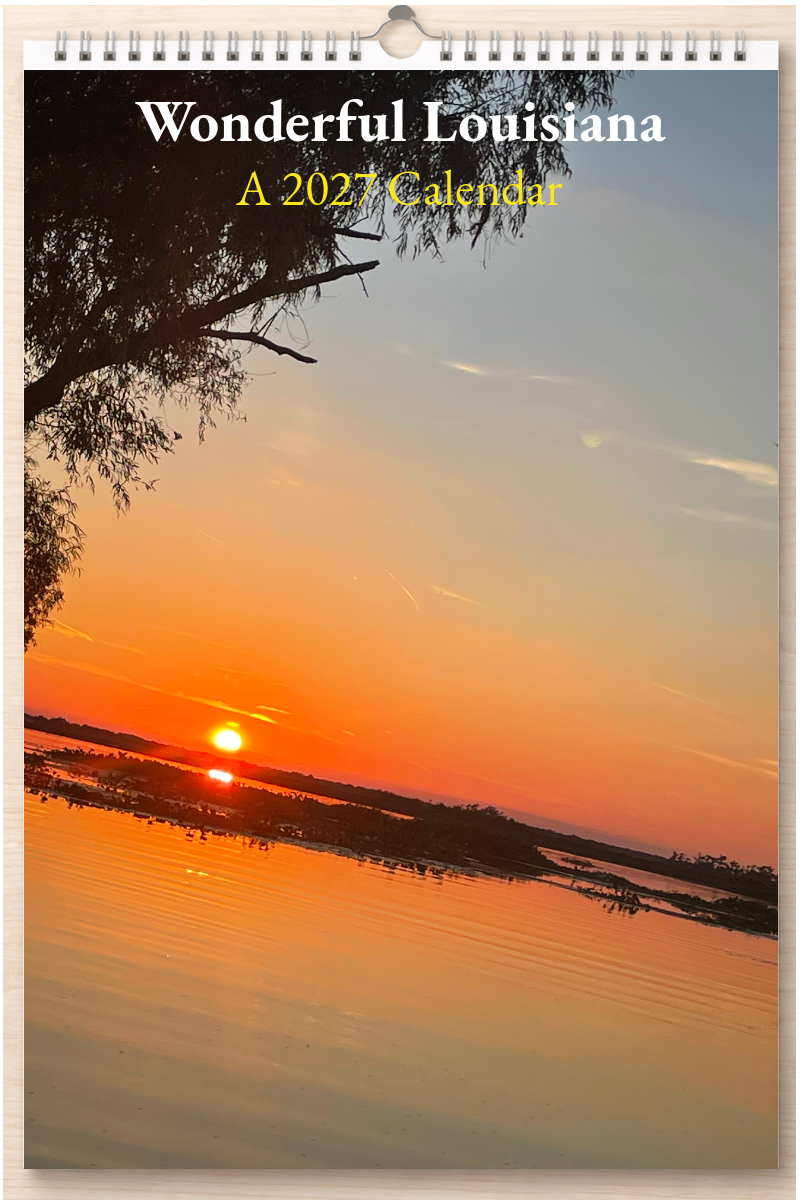 Wonderful Louisiana: A 2027 Calendar