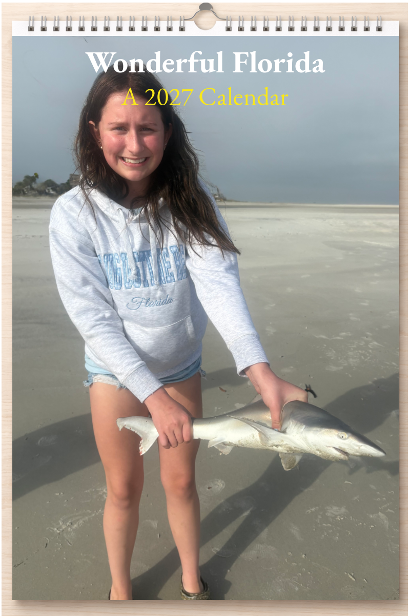 Wonderful Florida: A 2027 Calendar
