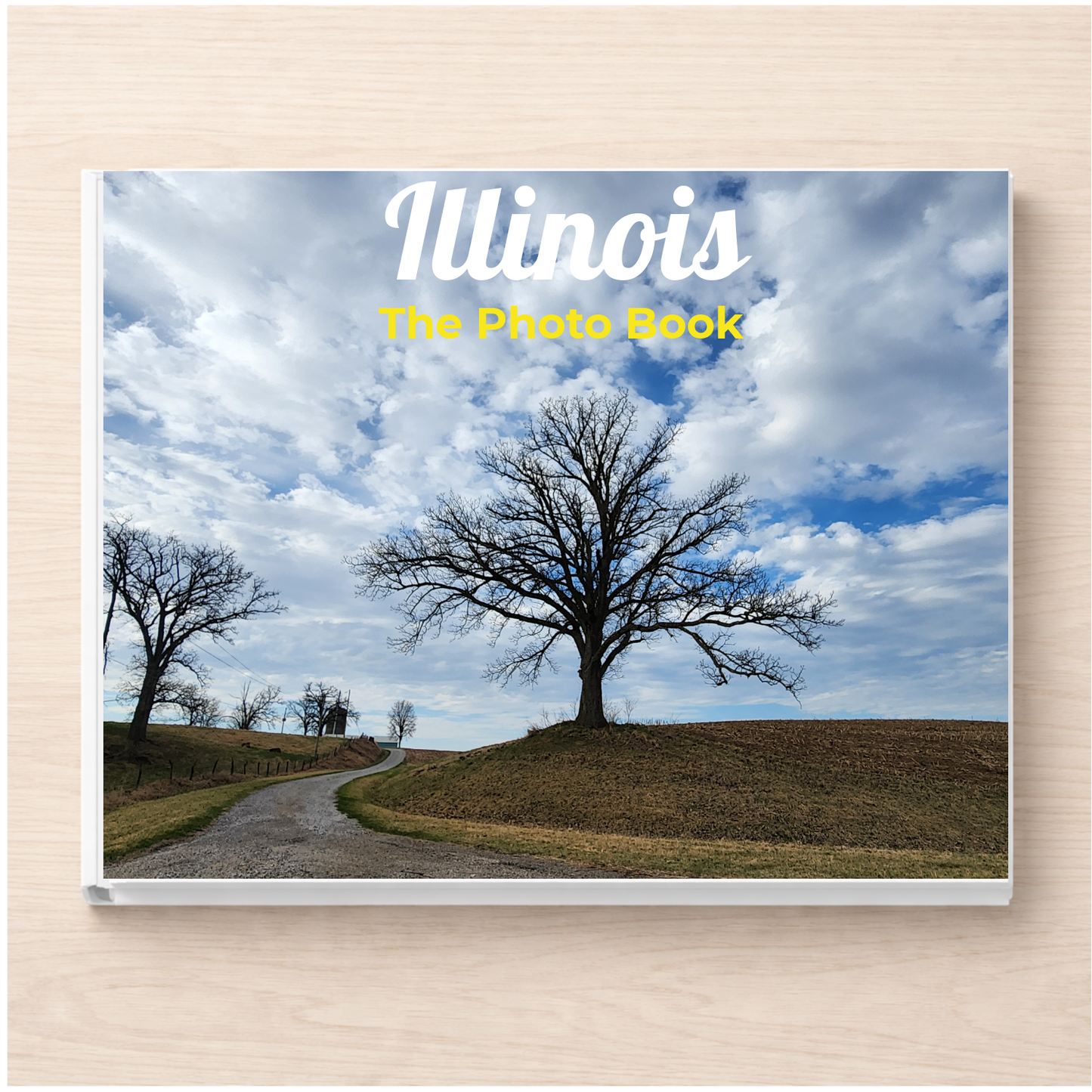 Illinois: The Photo Book