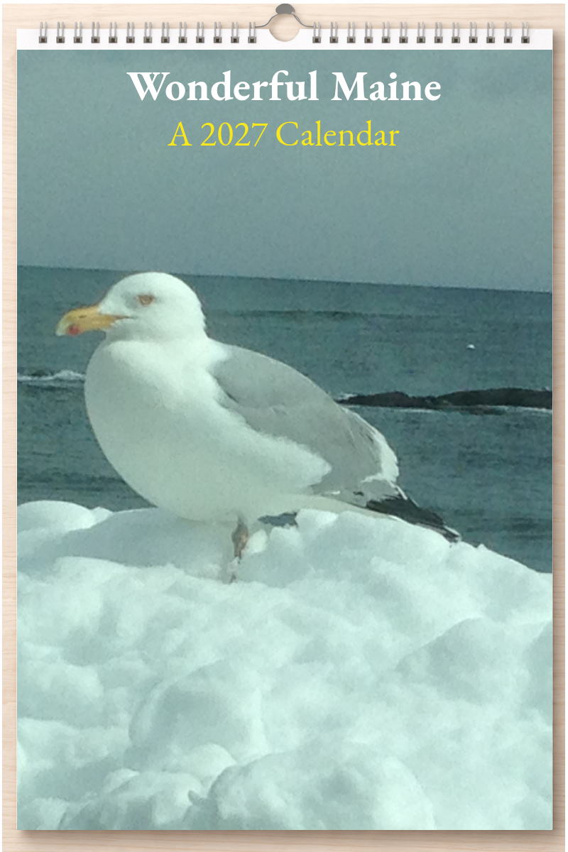 Wonderful Maine: A 2027 Calendar