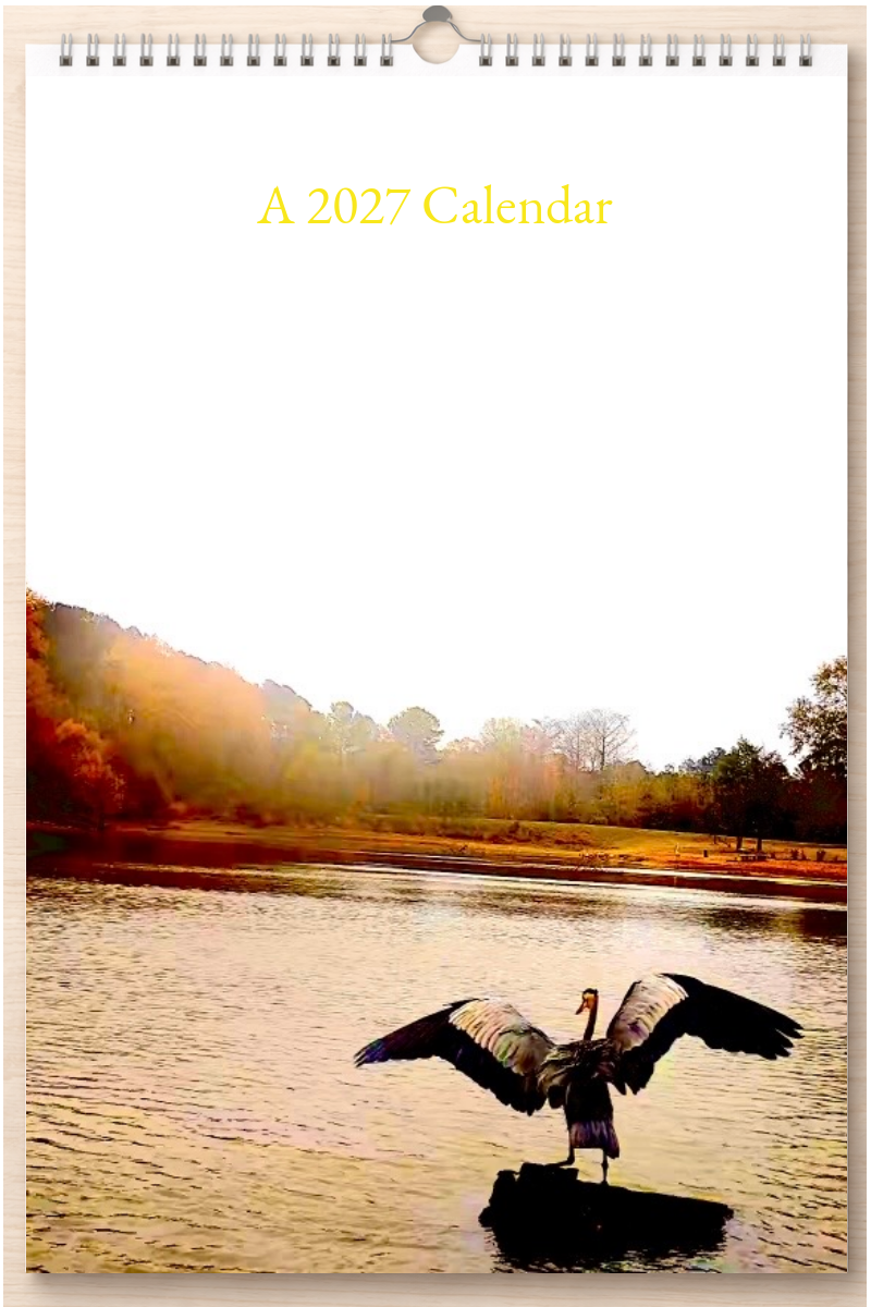 Wonderful Louisiana: A 2027 Calendar