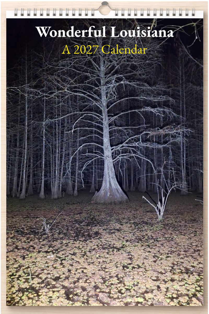 Wonderful Louisiana: A 2027 Calendar