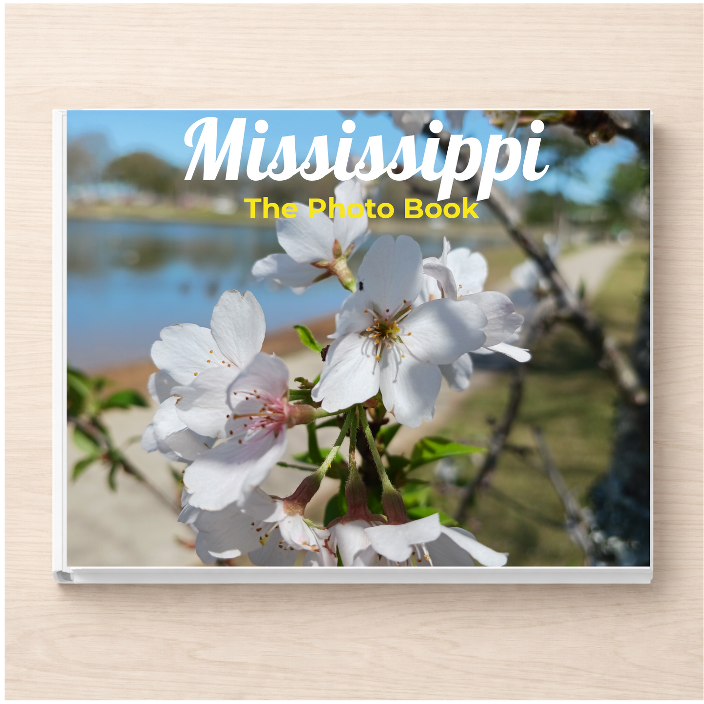 Mississippi: The Photo Book