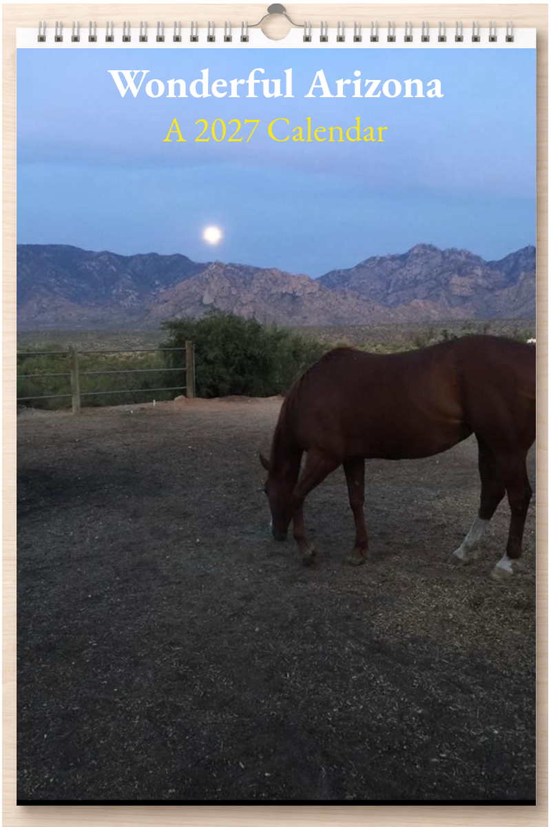 Wonderful Arizona: A 2027 Calendar