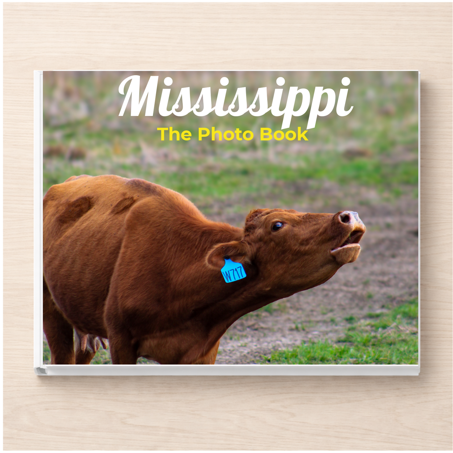 Mississippi: The Photo Book