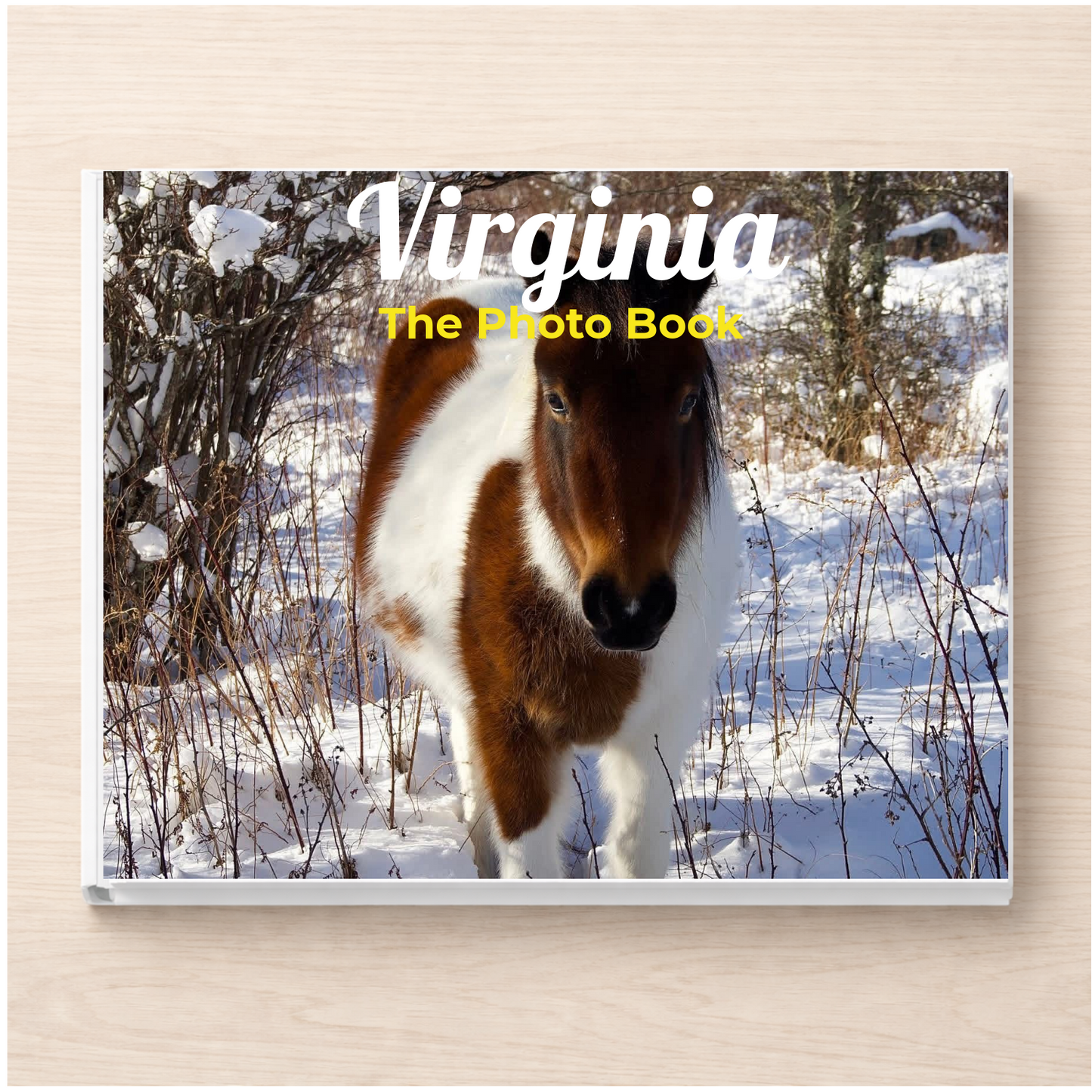 Virginia: The Photo Book