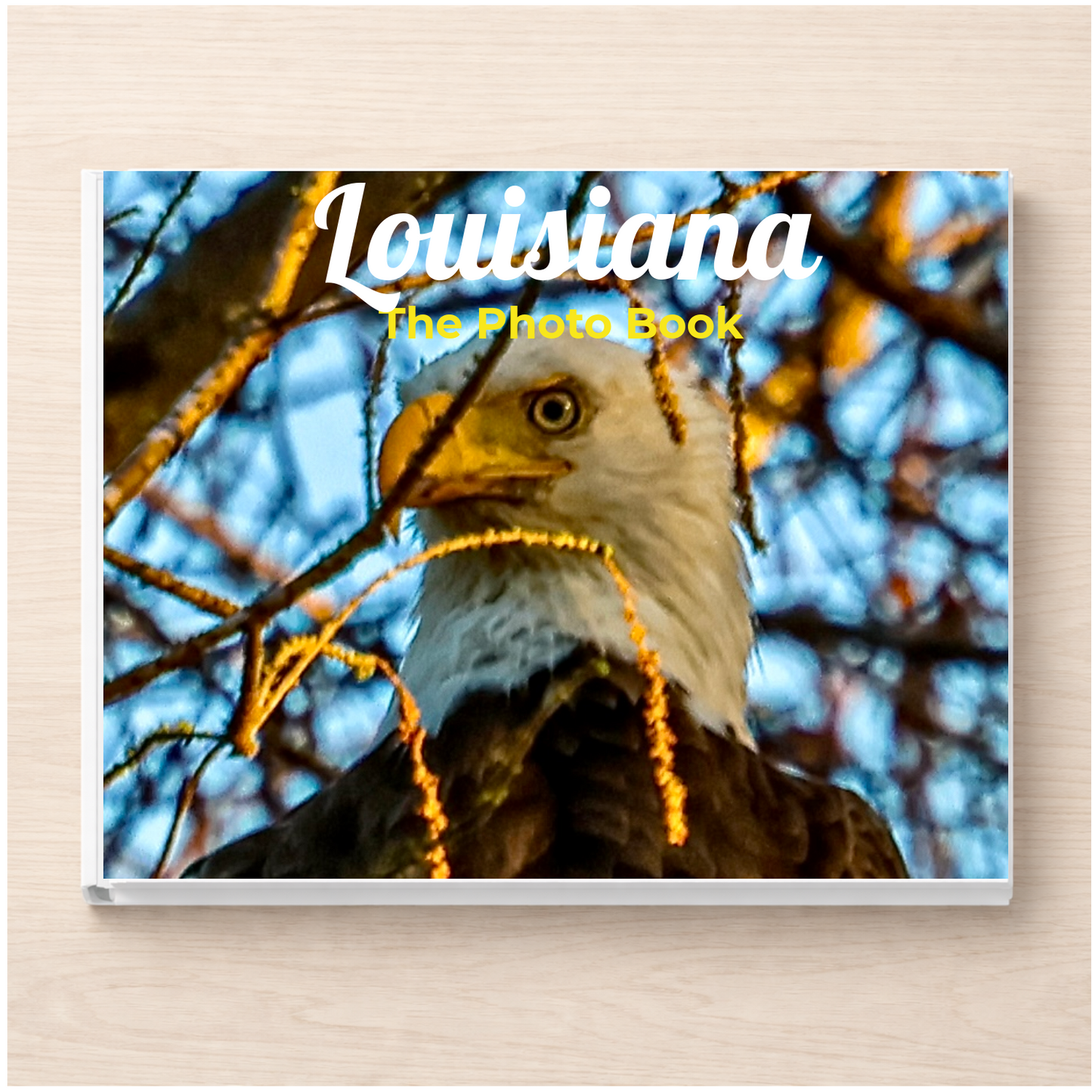 Louisiana: The Photo Book