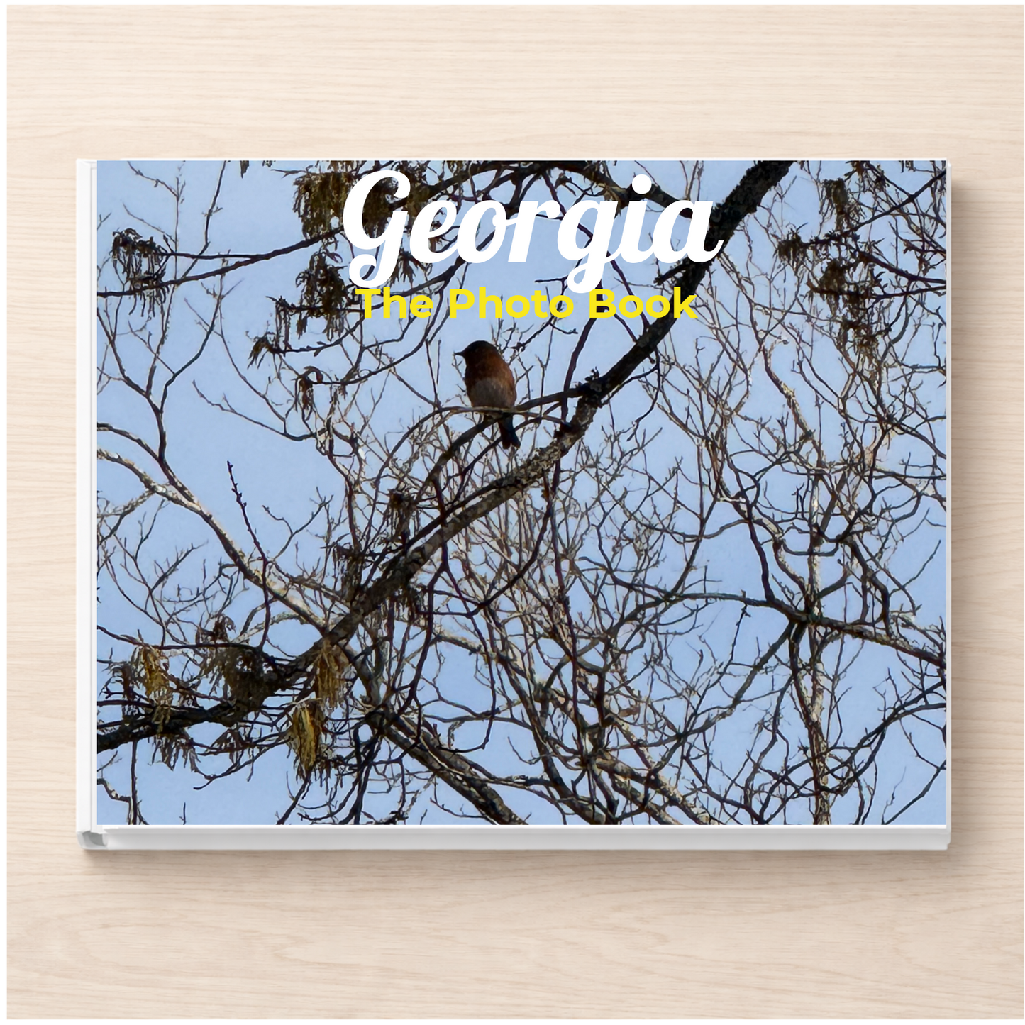 Georgia: The Photo Book