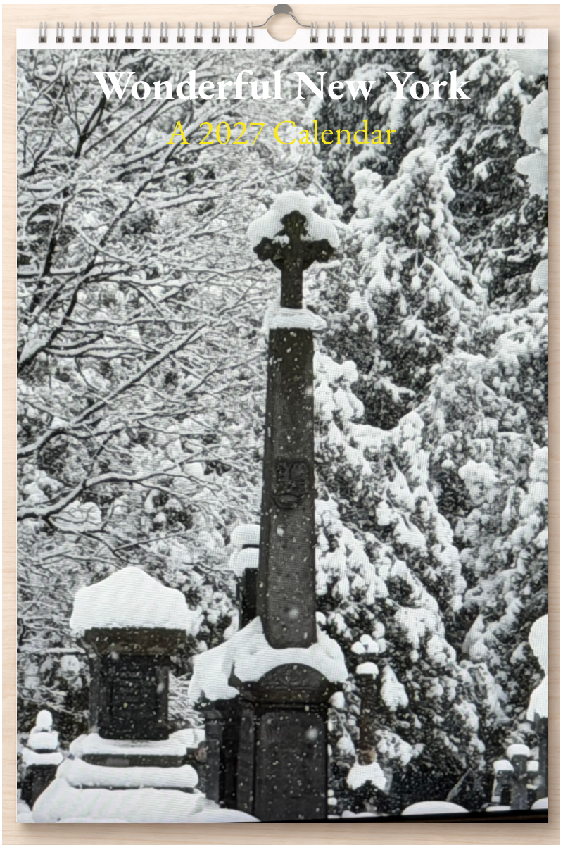 Wonderful New York: A 2027 Calendar