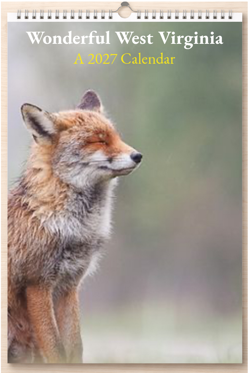 Wonderful West Virginia: A 2027 Calendar