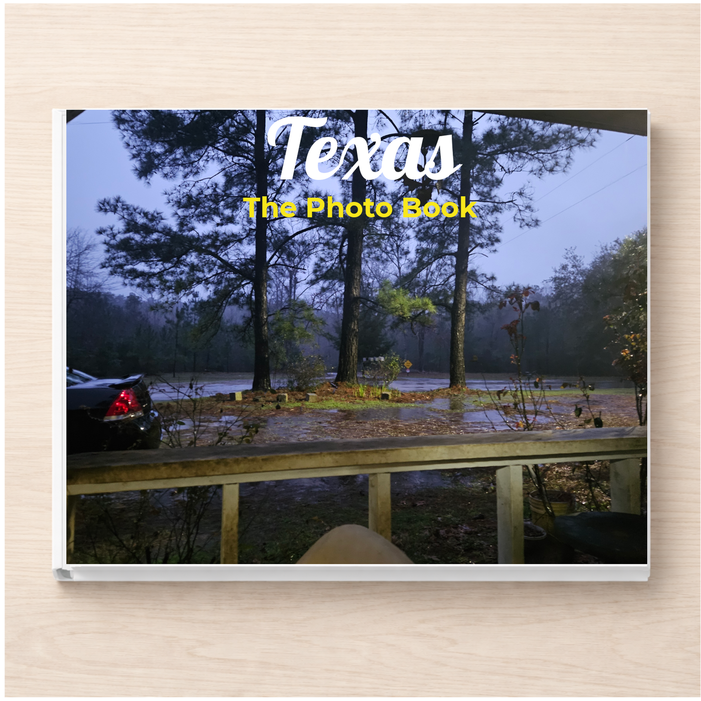 Texas: The Photo Book