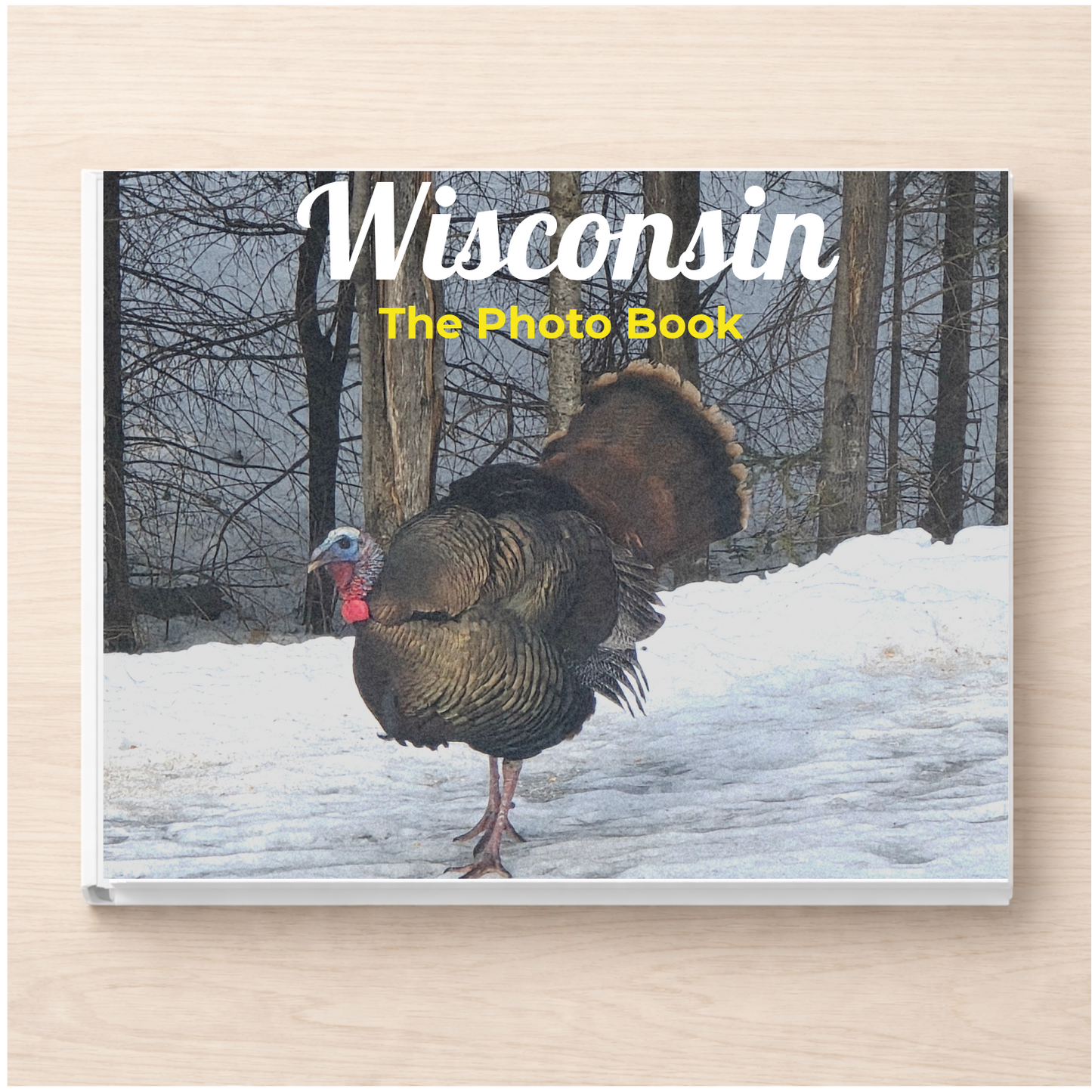 Wisconsin: The Photo Book