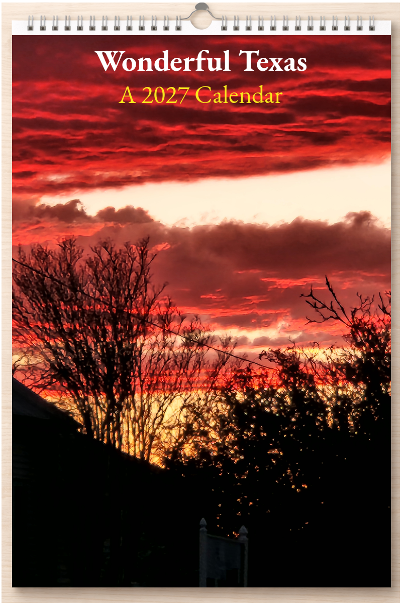 Wonderful Texas: A 2027 Calendar