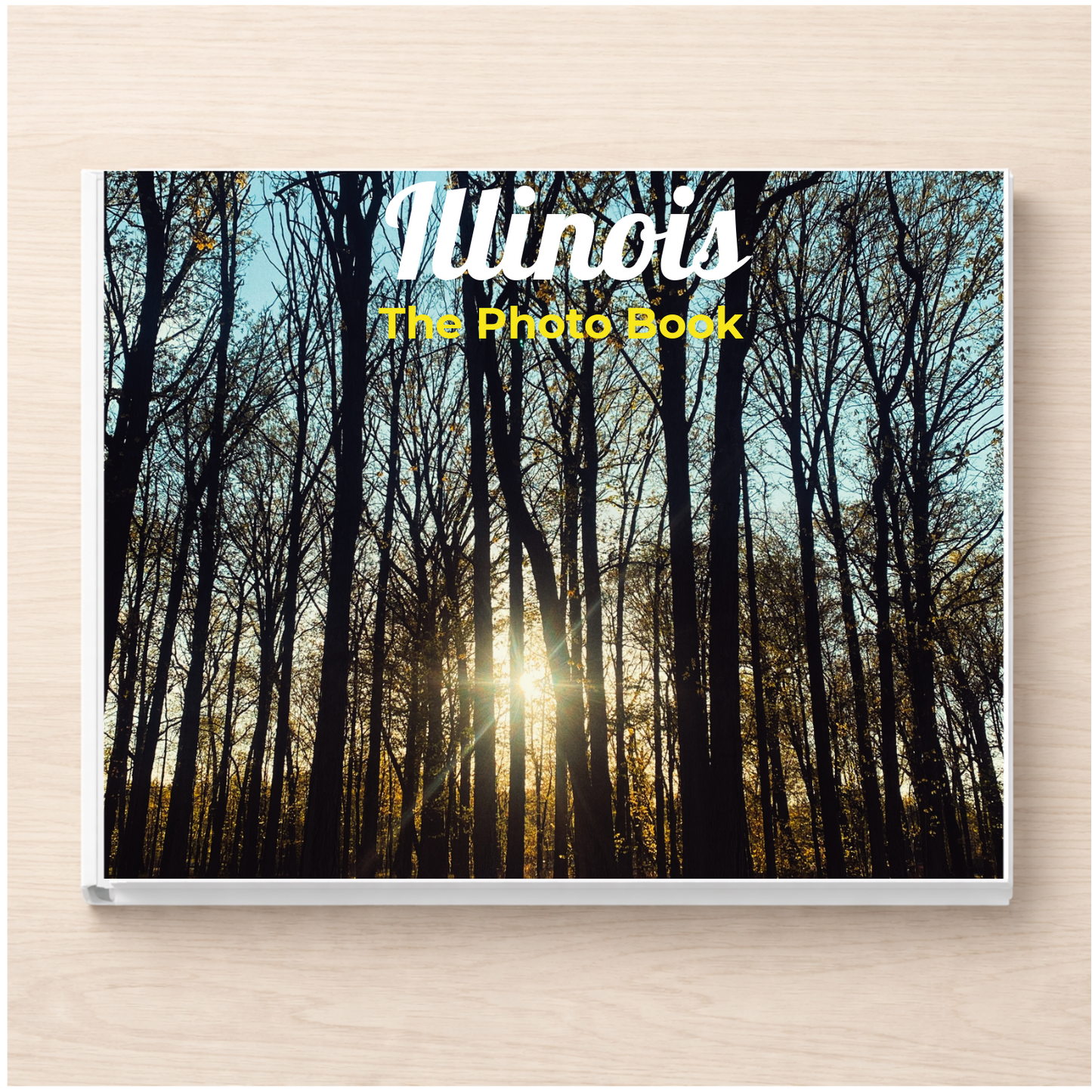 Illinois: The Photo Book