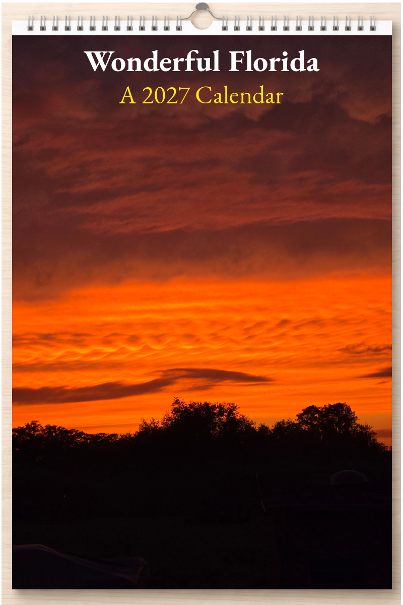 Wonderful Florida: A 2027 Calendar