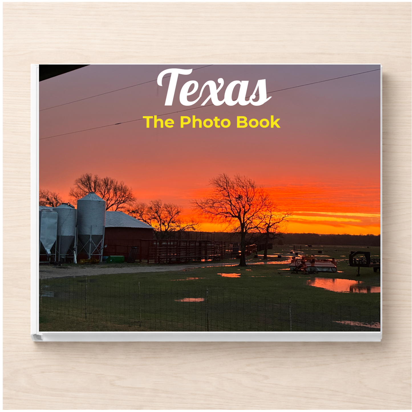 Texas: The Photo Book
