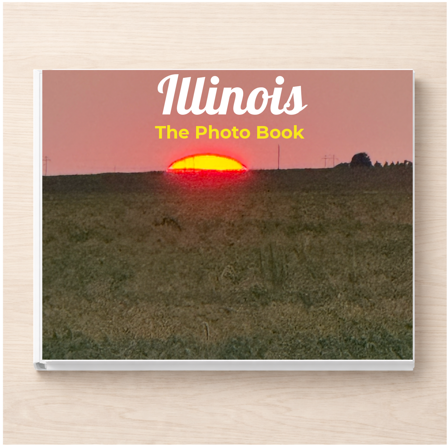 Illinois: The Photo Book