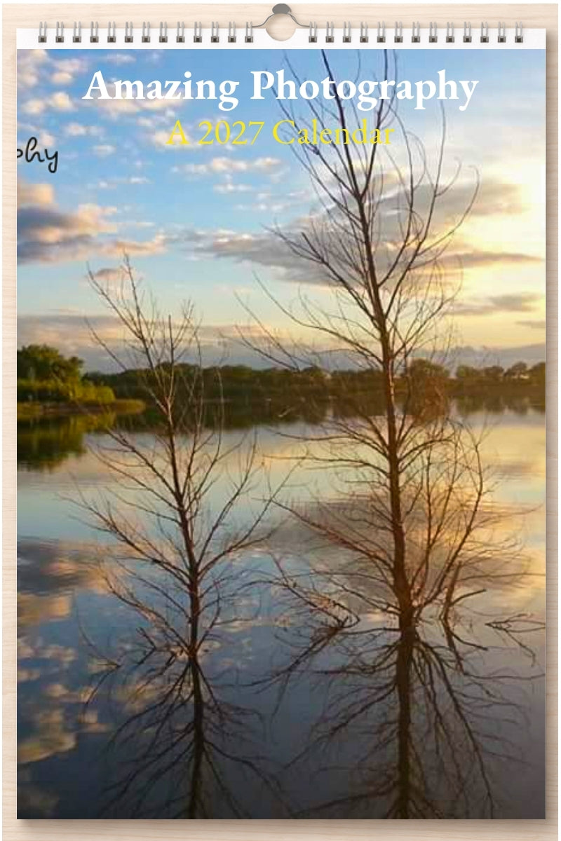 Amazing Photography: A 2027 Calendar