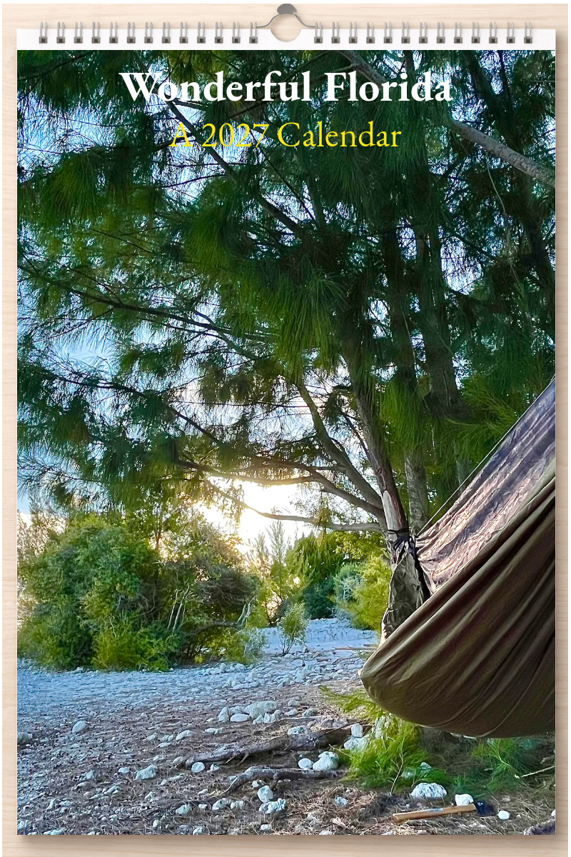 Wonderful Florida: A 2027 Calendar