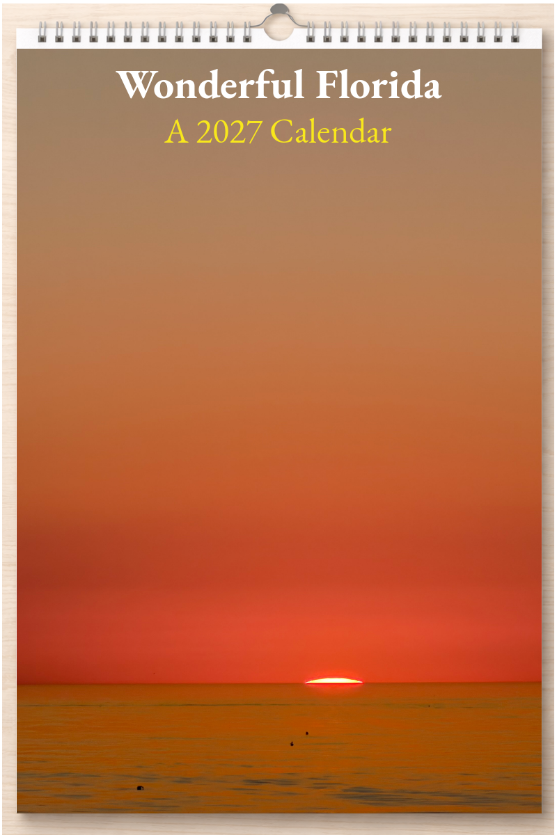 Wonderful Florida: A 2027 Calendar