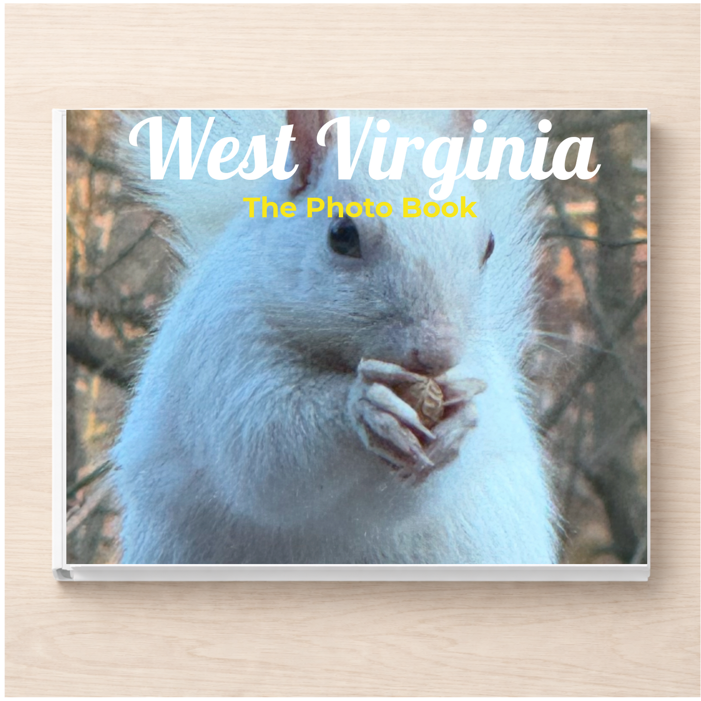 West Virginia: The Photo Book