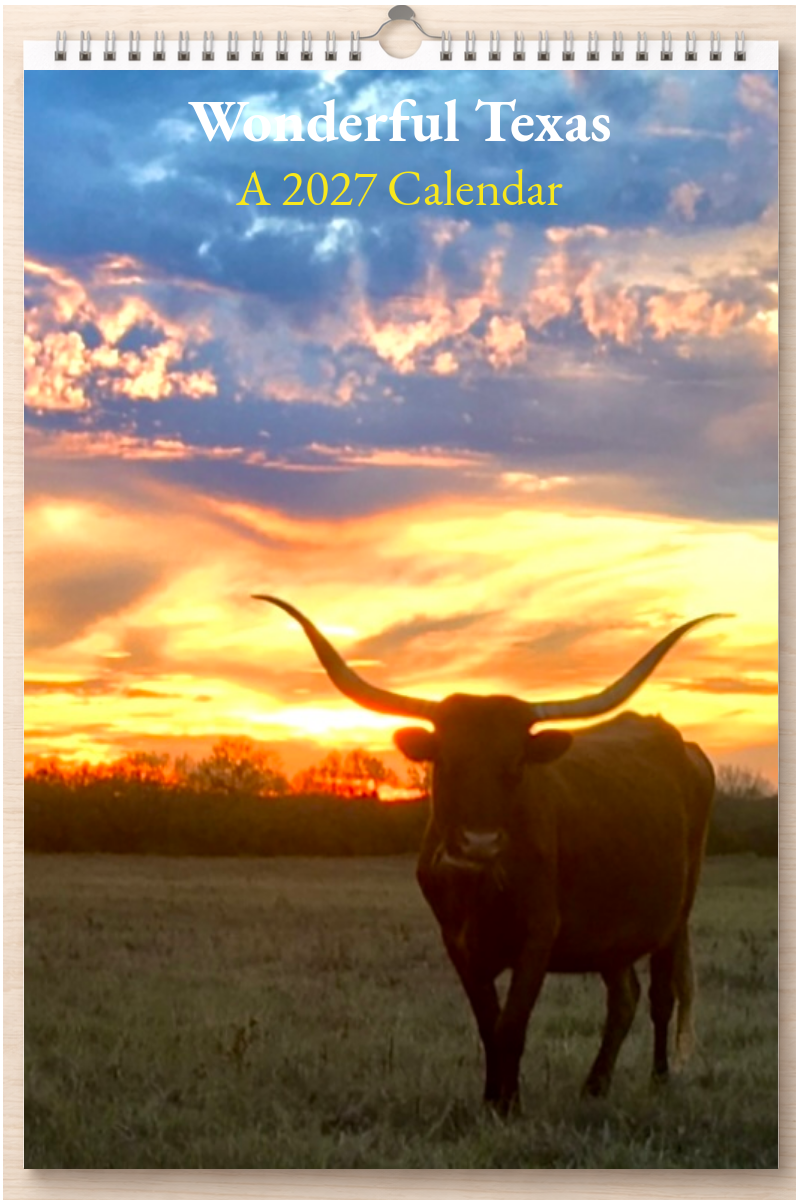 Wonderful Texas: A 2027 Calendar