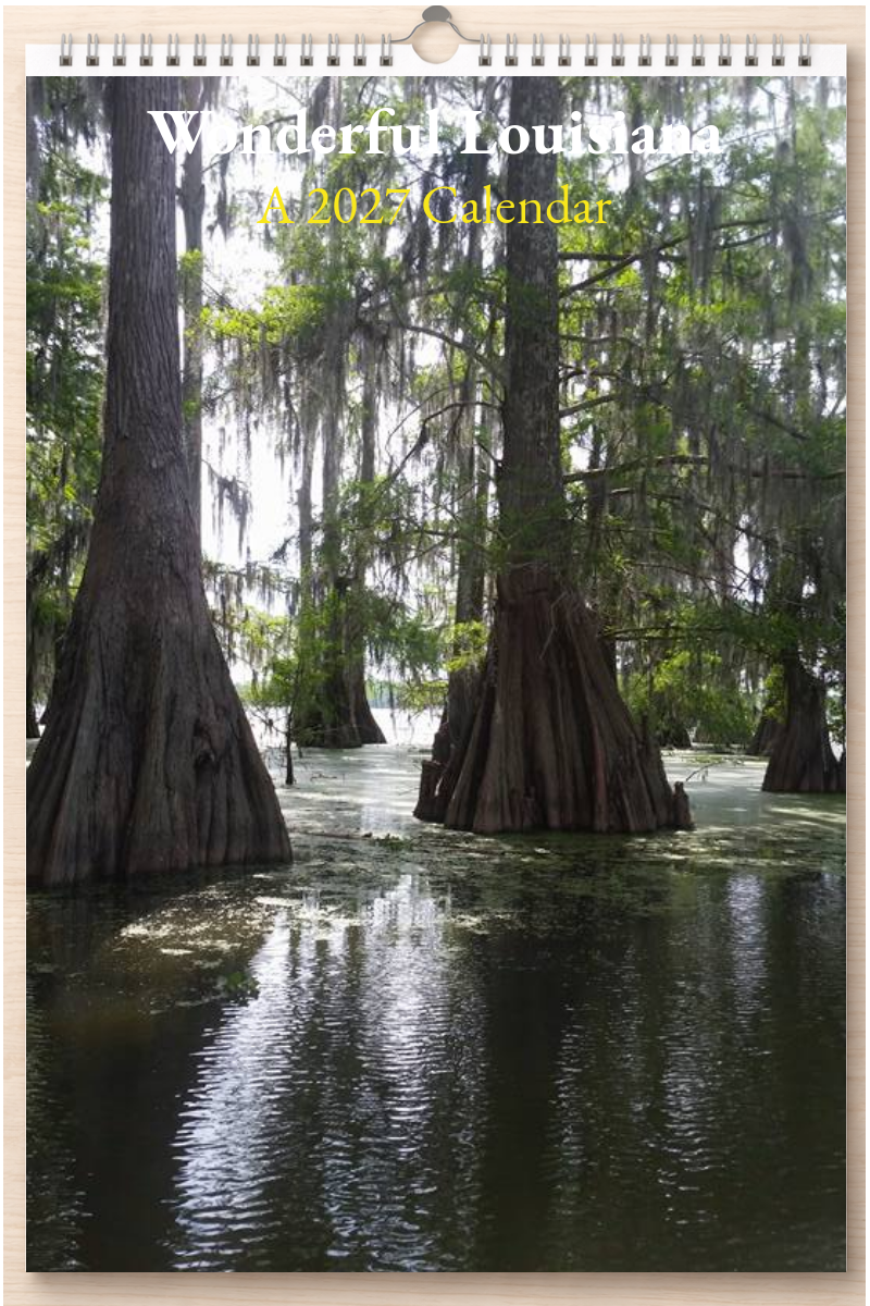 Wonderful Louisiana: A 2027 Calendar