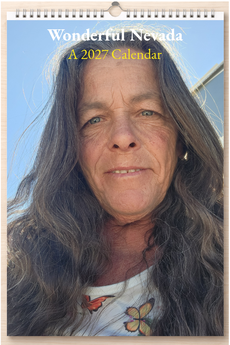 Wonderful Nevada: A 2027 Calendar